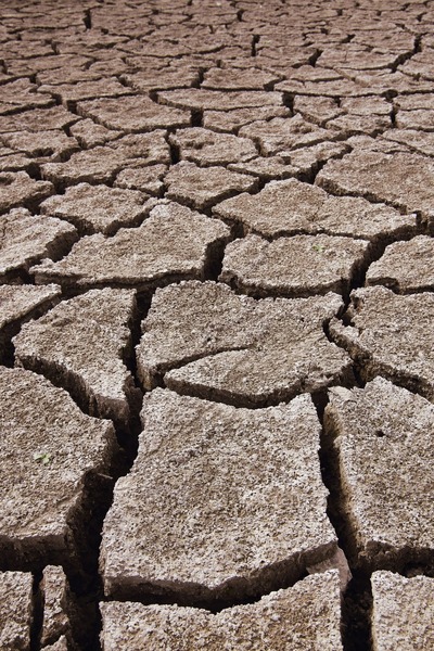 expansive soil, cracked soil