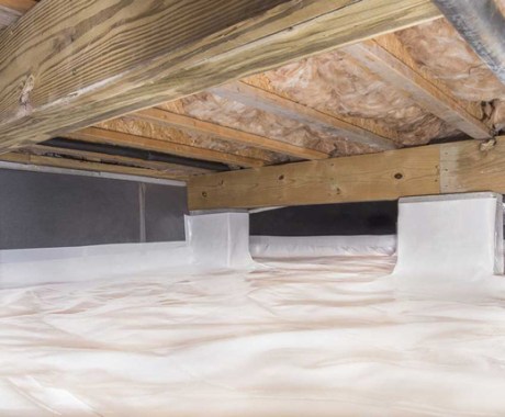 Crawl Space Damage Causes NC, SC, & GA MVFS